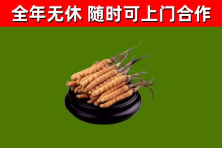 策勒烟酒回收冬虫夏草.jpg